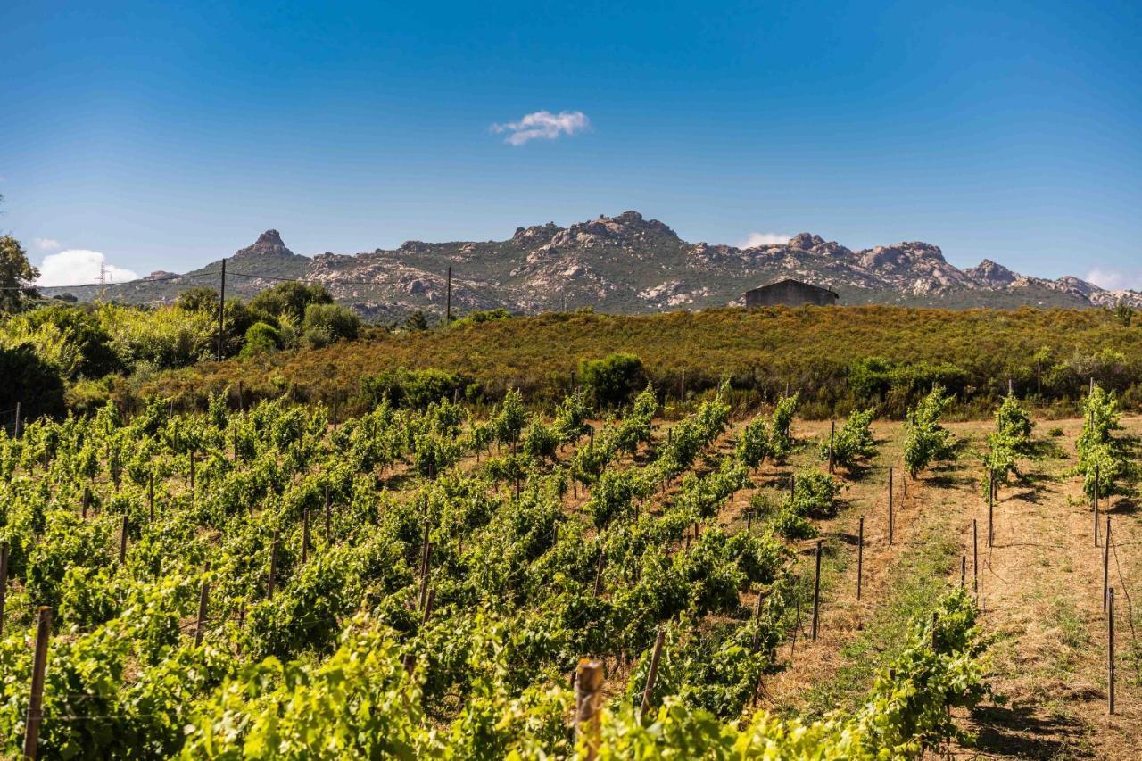Locanda In Vigna Arzachena Exteriör bild