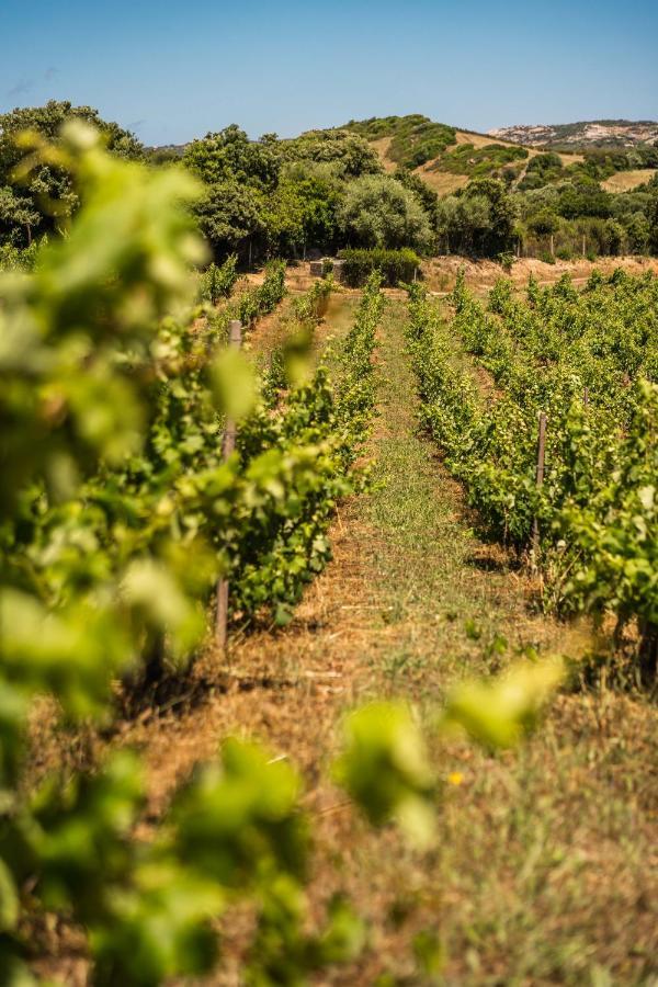 Locanda In Vigna Arzachena Exteriör bild