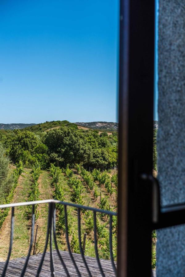 Locanda In Vigna Arzachena Exteriör bild